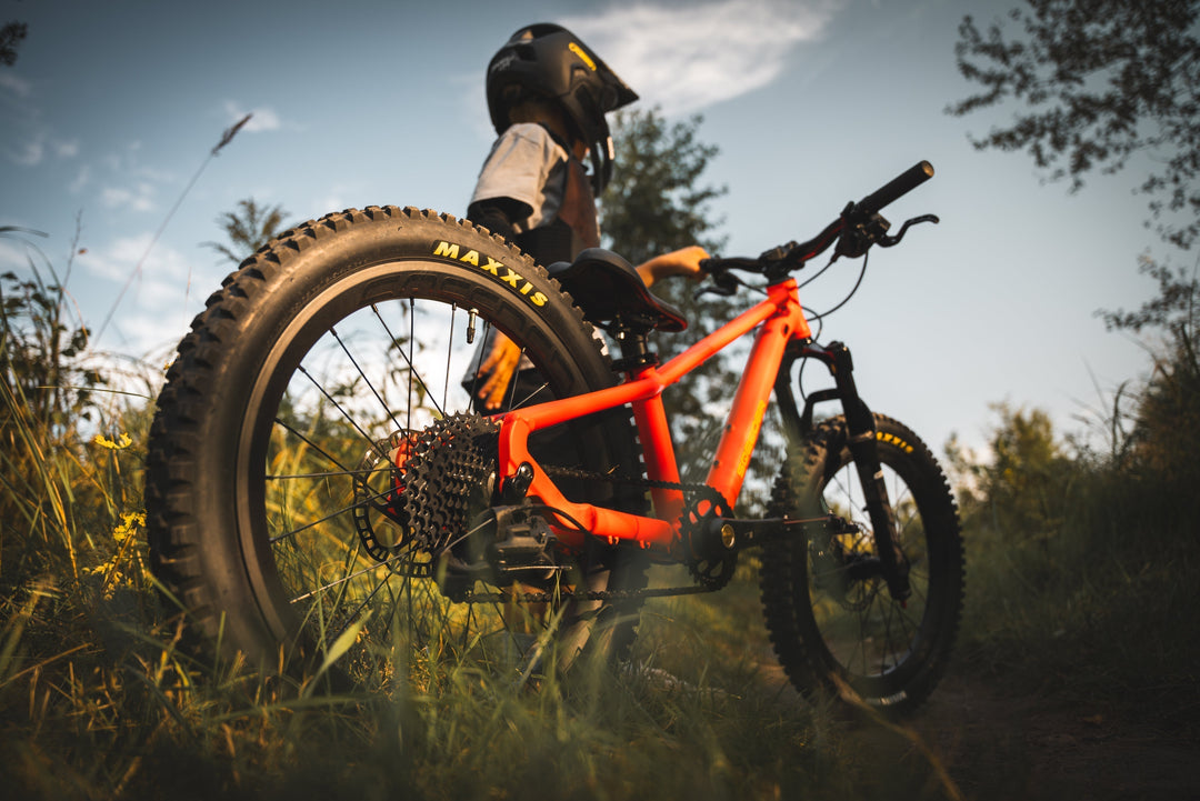 Welcher Reifen für welches Terrain? So wählst du im Sqeeder-Konfigurator richtig