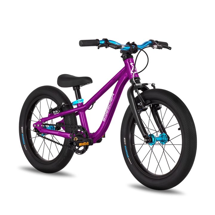 V3 Kettenantrieb & Felgenbremse