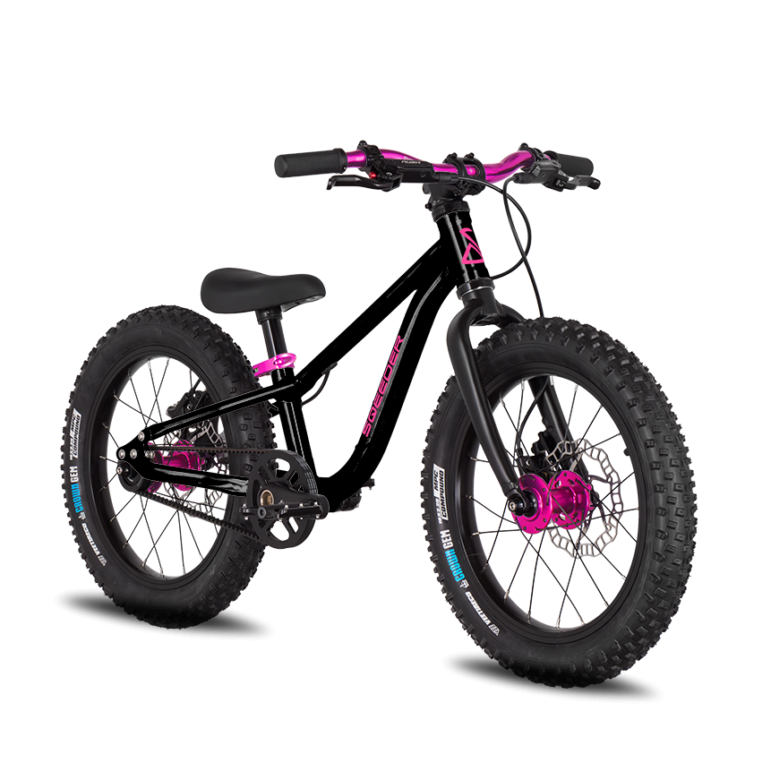 V3 Belt drive & disc brake