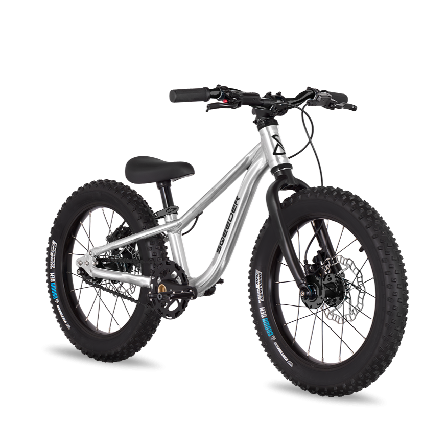 V3 chain drive & disc brake