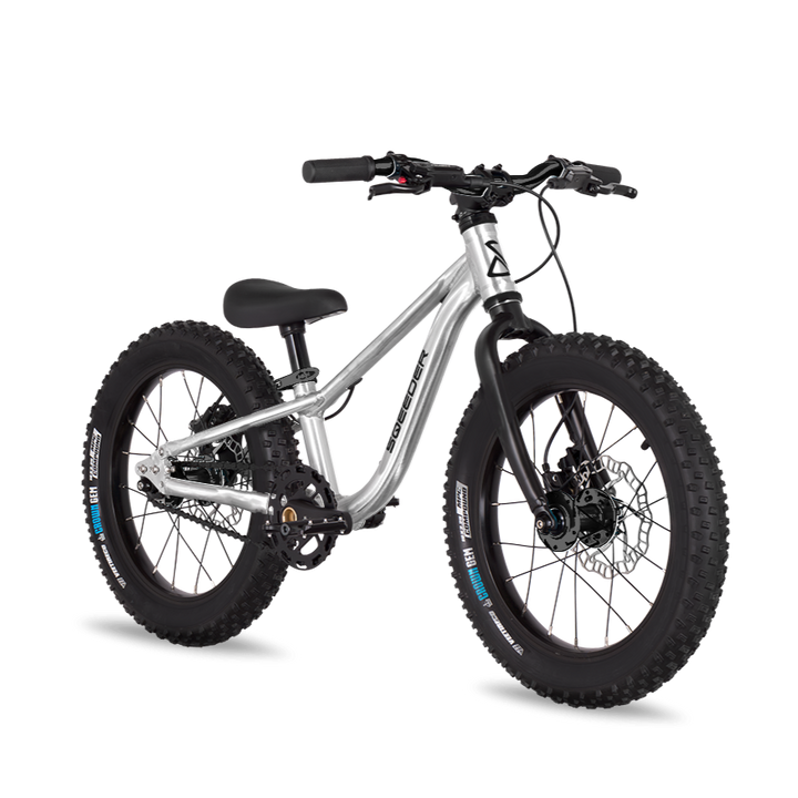 V3 chain drive & disc brake